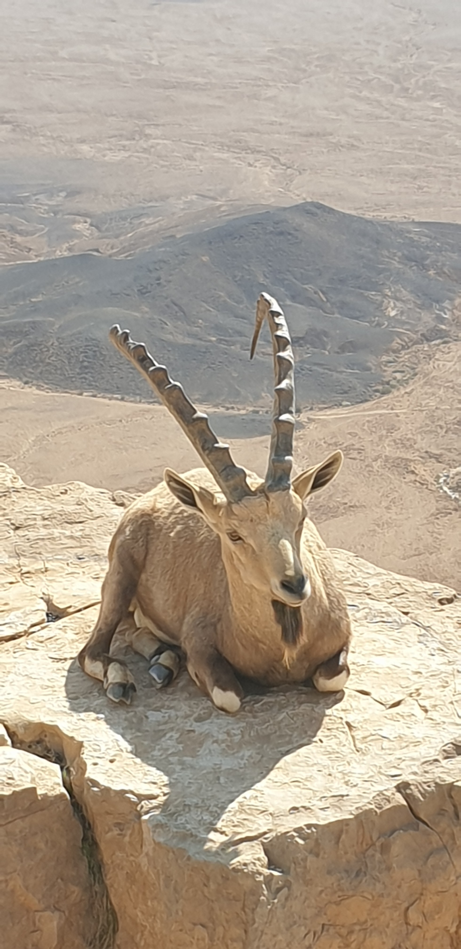 Private Masada, Dead Sea & Qumran Caves Tour