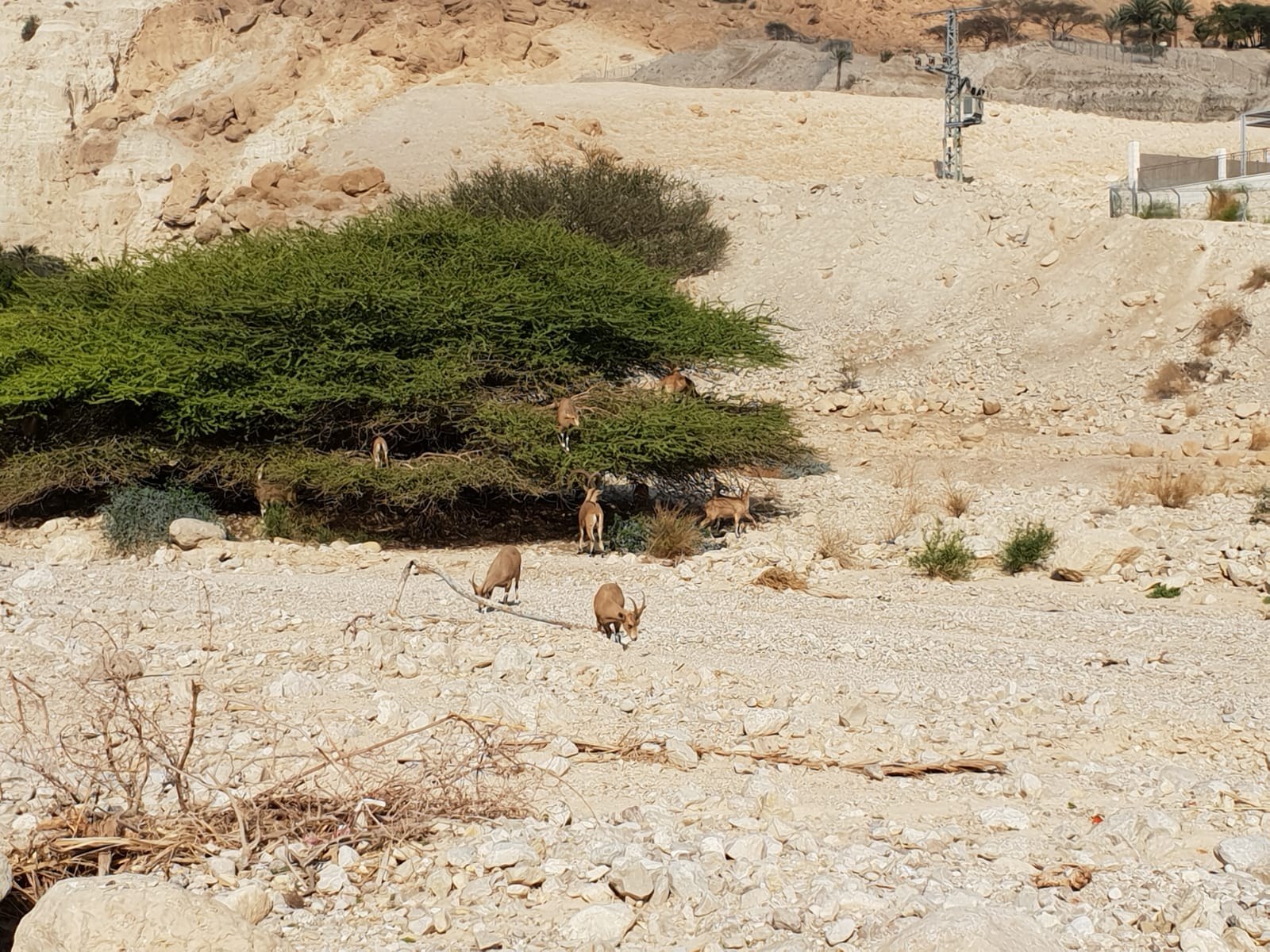 Private Masada, Dead Sea & Qumran Caves Tour